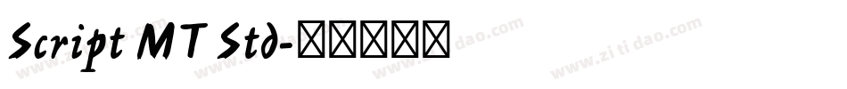 Script MT Std字体转换